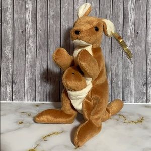 Ty beanie baby Pouch!